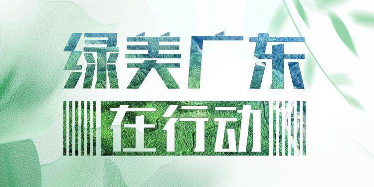 开春全市种植苗木达5万余株，广州深入开展全民爱绿植绿护绿