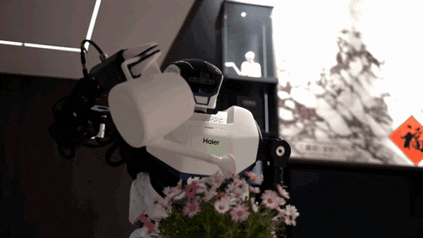 首款鸿蒙人形机器人“管家”现身！浇花、晾衣样样在行  鸿 人形 机器人 管家 第1张