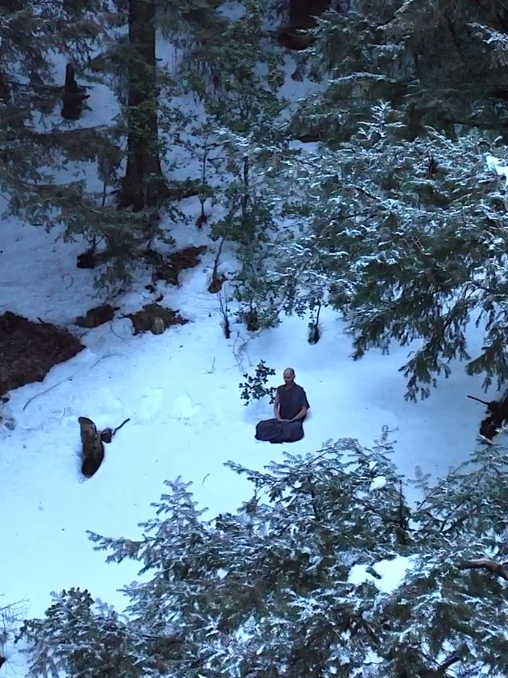 大师在喜马拉雅山脉修行冻成雪人：分不清是真人拍摄还是AI作品  第13张