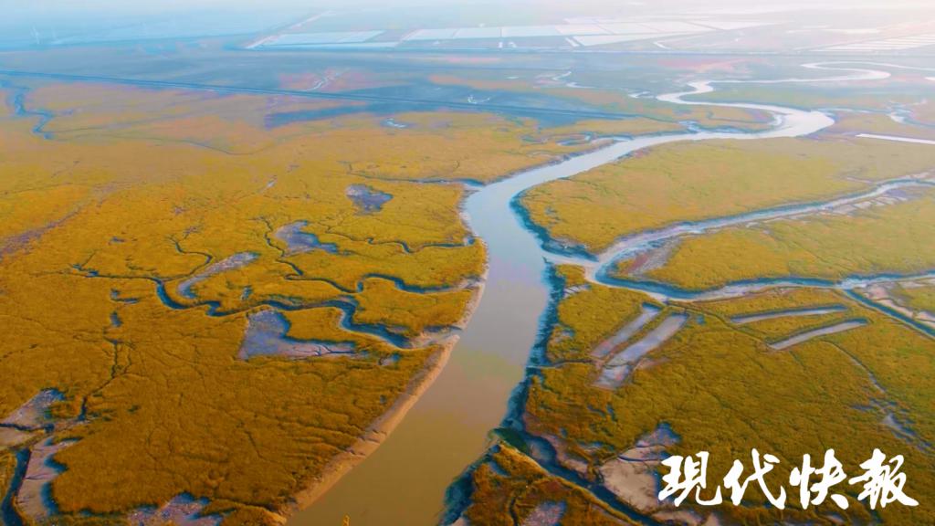 和谐共生｜解码“地球之肾”，中国湿地何以美出圈？  解码 地球 肾 中国 第1张