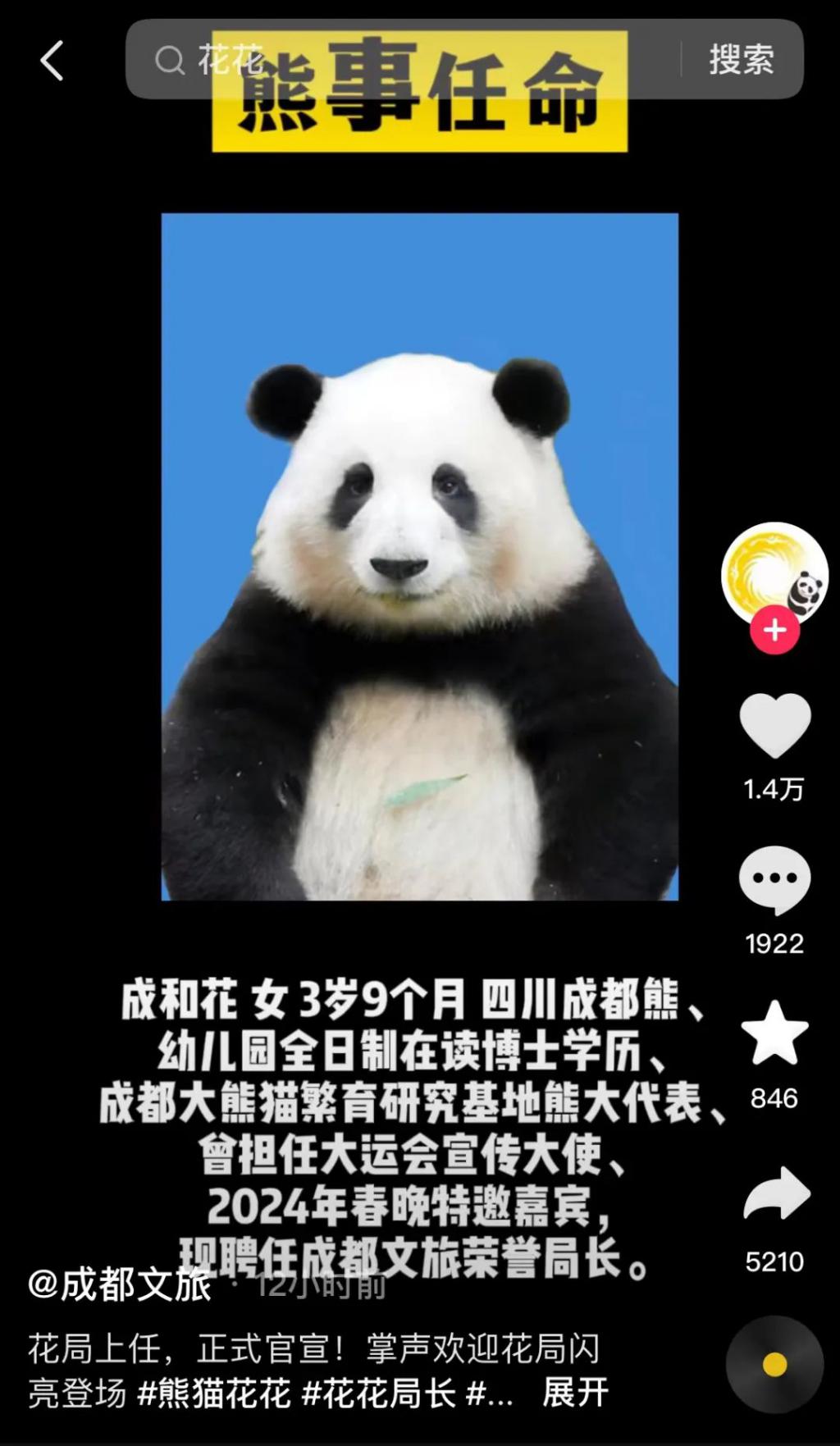 大熊猫“和花”成文旅局荣誉局长？网友：祝贺“花局”！